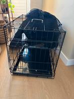 Hondenbench - 61x45x53 cm, Dieren en Toebehoren, Hondenhokken, Ophalen of Verzenden, Zo goed als nieuw, 75 tot 110 cm, Minder dan 65 cm