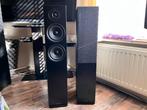 argon forus 55 vloerstaande speakers zgan., Audio, Tv en Foto, Luidsprekers, Zo goed als nieuw, 120 watt of meer, Front, Rear of Stereo speakers
