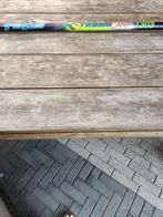 vishengel (9.80 m ), Watersport en Boten, Hengelsport | Algemeen, Ophalen, Nieuw, Vaste hengel