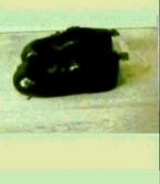 Nieuwe kinder schoenen maat 24, Schoentjes, Nieuw, Ophalen of Verzenden, Jongetje