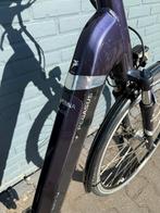 Pegasus Ravenna Evo 8 Electrische Fiets | Bosch Plus Motor, Fietsen en Brommers, Elektrische fietsen, Overige merken, 51 tot 55 cm