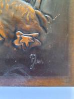 Prachtig koperen wandplaat met afbeelding aquarium., Antiek en Kunst, Antiek | Koper en Brons, Ophalen of Verzenden, Koper