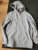 Grijze hoodie Jack Jones, Trui of Vest, Ophalen of Verzenden, Zo goed als nieuw, Jongen