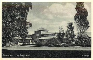 (387-234-047) Ermelo Het hoge riet beschikbaar voor biedingen