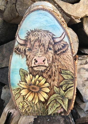Houten Schijf met Schotse Hooglander beschikbaar voor biedingen