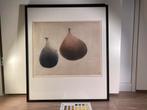 Ets aquatint Niels van Spaendonck “Ampullen” in lijst, Antiek en Kunst, Ophalen