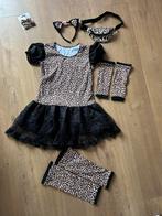 Kat kostuum, Ophalen of Verzenden, Zo goed als nieuw, 146 t/m 152, Meisje