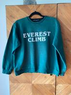 Zgan. Mooie Sweater van Zara. Maat S, Zara, Ophalen of Verzenden, Zo goed als nieuw, Maat 36 (S)