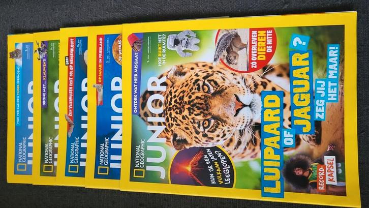 National Geographic Junior 6 bladen + 1 special doeboek 2024, Boeken, Dieren en Huisdieren, Zo goed als nieuw, Overige diersoorten