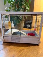 Ferplast Wooden Hamster Cage + Full Accessories Bundle, Ophalen of Verzenden