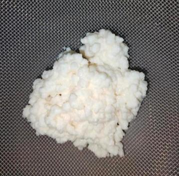 Melk kefir korrels  beschikbaar voor biedingen