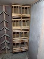 Postduiven. Duivinnen hokjes 8 vaks, Dieren en Toebehoren, Meerdere dieren, Postduif