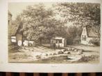 038 / Rooth    Litho 1878, Ophalen of Verzenden