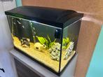 Aquarium, Ophalen, Leeg aquarium