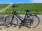 giant freerider incl beurt en nagekeken, Fietsen en Brommers, Fietsen | Dames | Damesfietsen, Ophalen, Versnellingen, Giant, 53 tot 56 cm