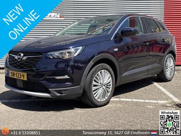 Opel Grandland X 1.2 Turbo Innovation | Cruise | Climate | N beschikbaar voor biedingen