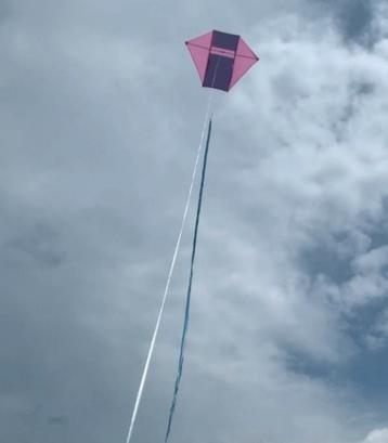 Roze-Paarse Vin Vlieger beschikbaar voor biedingen