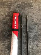 Avanti 430 75%, Watersport en Boten, Windsurfen