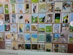 KUIFJE TINTIN: 64x prachtige plaatjes 1964 CHROMOS MILOU, Verzamelen, Verzenden, Nieuw, Buitenlandse clubs, Poster, Plaatje of Sticker