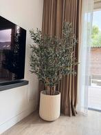 Olijfboom kunst incl pot (VASTE PRIJS), Ophalen, Zo goed als nieuw