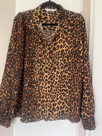 Costes ( The Sting ) tijgerprint blouse maat 44 beschikbaar voor biedingen