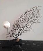 Prachtige zeegras waaier op voet bali stijl, Ophalen, Nieuw, X, X