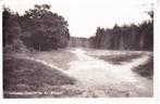 LUNTEREN,- Gezicht op de ,,Koepel'' Fotoglans. 21-07, Verzenden, 1940 tot 1960, Gelopen, Gelderland