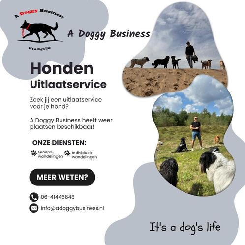Hondenuitlaatservice, Diensten en Vakmensen, Dieren | Honden | Verzorging, Oppas en Les, Uitlaatservice