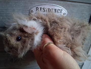 TK mooi lunkarya zeugje beschikbaar voor biedingen