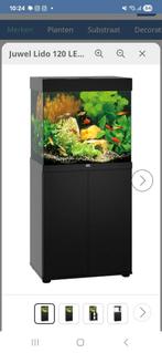 Juwel lido 120 half jaar oud, Ophalen, Zo goed als nieuw, Leeg aquarium