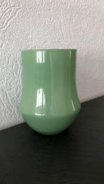 bloemenvaas van glas, Overige materialen, Rond, Ophalen of Verzenden, Minder dan 25 cm