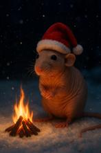 Gezocht! Naakt rat jong, Dieren en Toebehoren, Knaagdieren, September, Mannelijk, Rat