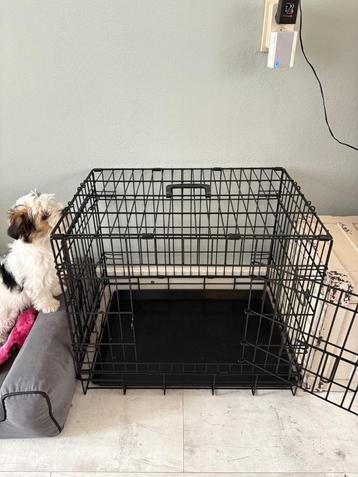 bench klein - voor pup of klein hondje beschikbaar voor biedingen