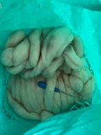 Bieden ….Grote zak Schapenwol!, Ophalen, Zo goed als nieuw