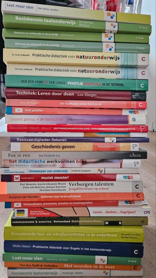 Schoolboeken PABO (de nieuwste pabo), Boeken, Schoolboeken, Gelezen, Overige niveaus, Ophalen of Verzenden