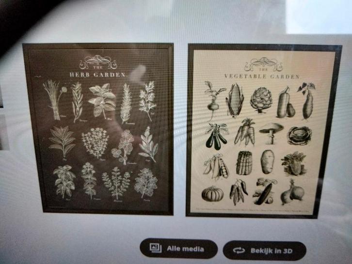 Ikea prent 2st in Knoppang lijst. NIEUW,gesloten verpakking, Huis en Inrichting, Woonaccessoires | Schilderijen, Tekeningen en Foto's