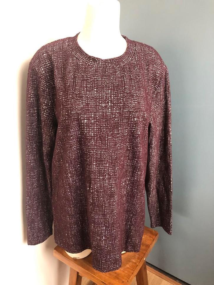 Shoeby paars grijs truitje xl, Kleding | Dames, Truien en Vesten, Zo goed als nieuw, Maat 46/48 (XL) of groter, Paars, Ophalen of Verzenden