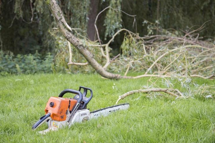Boom kappen, stronken verwijderen, Diensten en Vakmensen, Tuinmannen en Stratenmakers