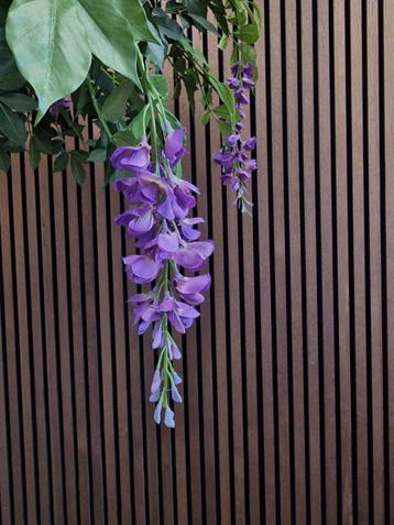 Akoestische wandpanelen | De originele ACODEC | 280 x 60 beschikbaar voor biedingen