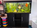 Juwel aqarium 120x55x41 met kast, Dieren en Toebehoren, Vissen | Aquaria en Toebehoren, Ophalen of Verzenden, Gebruikt, Leeg aquarium