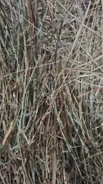 Ronde balen hooi te koop, Ophalen of Verzenden, Vee