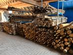 Kastanje houten palen afrastering schutting erfscheiding, Ophalen of Verzenden, Nieuw, Palen