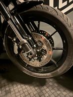 Schijfremmen fxlrs st softail m8, Ophalen