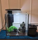 superfish qubiq 30 aquarium, Ophalen, Zo goed als nieuw