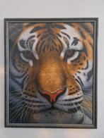 Tijger, Ophalen of Verzenden