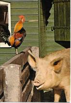 Varken met haan., Verzenden, 1980 tot heden, Ongelopen, Overige soorten