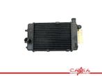 RADIATEUR Aprilia Falco 1000 1999-2003 (SL1000), Motoren, Onderdelen | Overige, Gebruikt