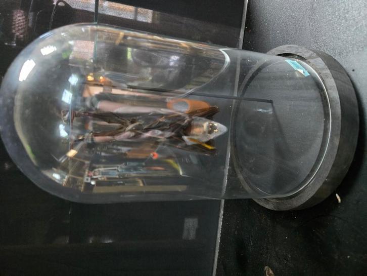 Vleerhond in stolp, Verzamelen, Dierenverzamelingen, Zo goed als nieuw, Beeldje of Figuurtje, Ophalen