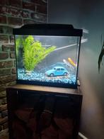 Superfish Aquarium Start 20, Dieren en Toebehoren, Vissen | Aquaria en Toebehoren, Ophalen, Zo goed als nieuw, Leeg aquarium