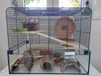 Hamsterkooi met glazen bak, Dieren en Toebehoren, Knaagdieren en Konijnen | Hokken en Kooien, Kooi, Gebruikt, Minder dan 75 cm